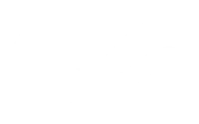 زيتونة | Zaytona - أفضل أفلام الأنيميشن المدبلجة والمترجمة عربي